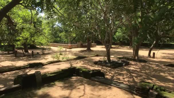 Anuradhapura, Sri Lanka, harabelerle dolu park — Stok video