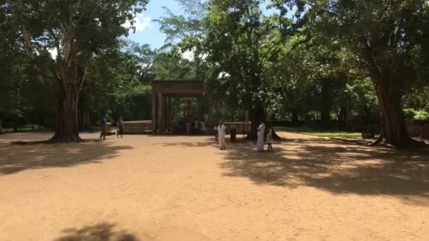 Anuradhapura, Sri Lanka, dia ensolarado em Kings Park — Vídeo de Stock