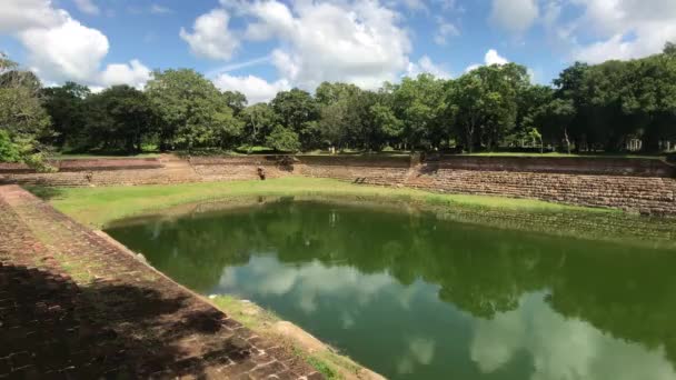 Anuradhapura, Sri Lanka, étang pour éléphants dans la forêt — Video