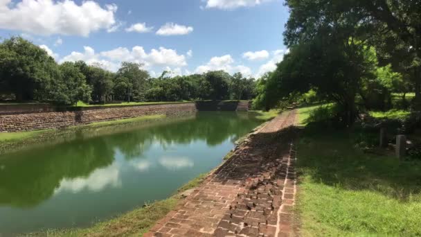 Anuradhapura, Sri Lanka, vista superior del estanque de elefantes — Vídeo de stock