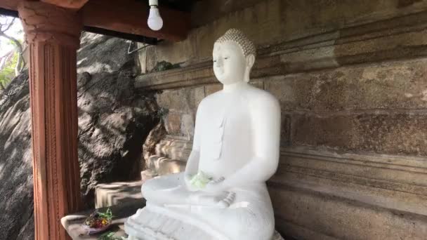 Anuradhapura, Srí Lanka, Buddha a žárovka — Stock video