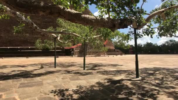 Anuradhapura, Sri Lanka, vy över grenarna av det heliga trädet framför templet — Stockvideo