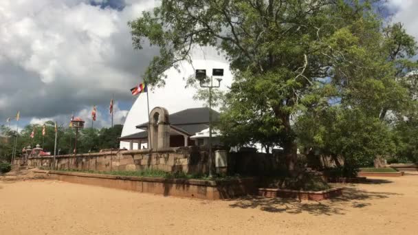 Anuradhapura, sri lanka, ein Blick durch die Äste einer kleinen Dagoba — Stockvideo