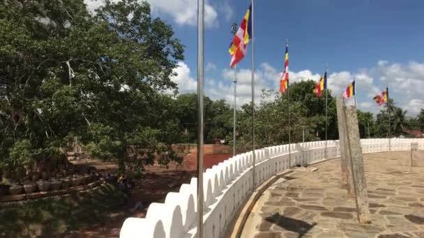 Anuradhapura, sri lanka, Blick auf Dagoba-Zaun und Flaggen — Stockvideo