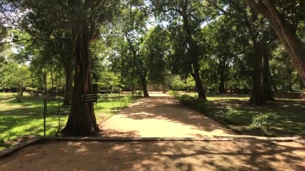 Anuradhapura, Sri Lanka, vista del Parque cerca de Dagoba desde lejos — Vídeo de stock