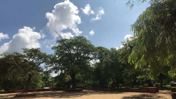 Anuradhapura, Sri Lanka, vue sur les arbres avec des nuages — Video