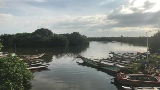 Negombo, Srí Lanka, nový místní rybářský přístav — Stock video