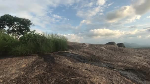 スリランカのシギリヤ山の植生 — ストック動画