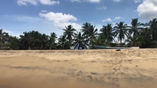 Negombo, sri lanka, palmen am strand — Stockvideo