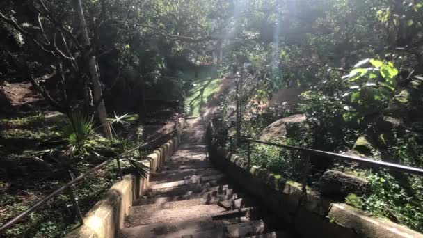 Sigiriya, Sri Lanka, an ancient staircase uphill — Stockvideo