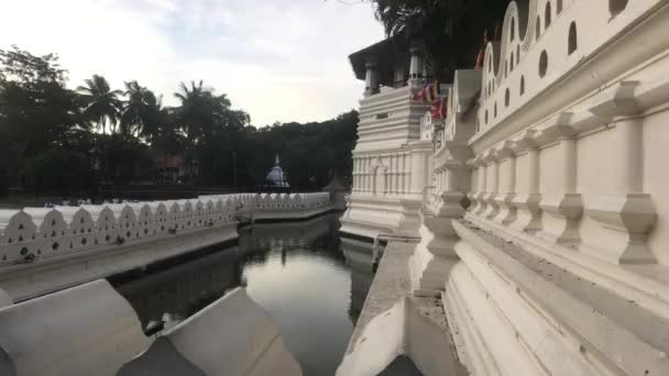 Kandy, Sri Lanka, 25 de noviembre de 2019, Fosa de agua de Sri Dalada Maligawa en el templo — Vídeo de stock