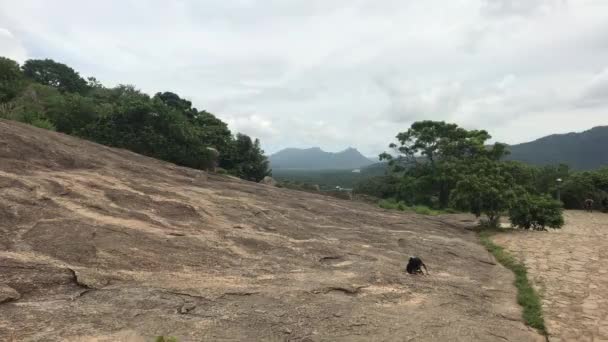 Dambulla, Sri Lanka, rocky terrain возле искушения — стоковое видео