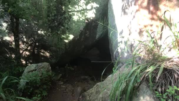 Sigiriya, Sri Lanka, montagnes et forêts tropicales — Video