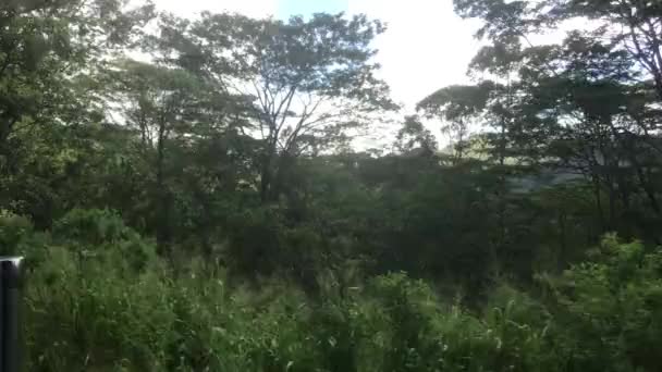 Ella, Sri Lanka, skogslandskap längs vägen — Stockvideo
