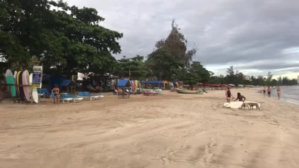 Weligama, Sri Lanka, Escola de Surf na Costa — Vídeo de Stock