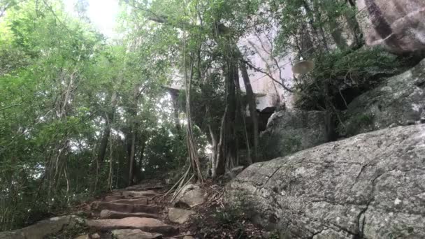 Sigiriya, Sri Lanka, rotsen en grotten — Stockvideo