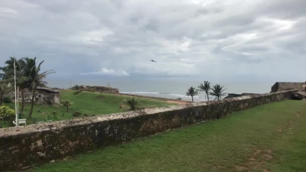Galle, Sri Lanka, vliegende vogel over fort — Stockvideo