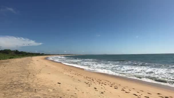 Yala, Srí Lanka, krásné pobřeží Indického oceánu — Stock video