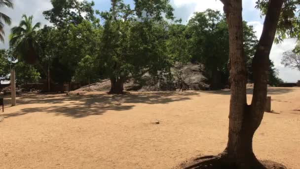 Mihintale, sri lanka, schöner Blick auf die Bäume — Stockvideo