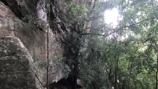 Sigiriya, Sri Lanka, floresta tropical e céu — Vídeo de Stock