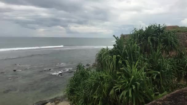 Galle, Sri Lanka, zielone krzaki na ścianie twierdzy — Wideo stockowe