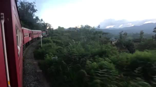 Ella, Sri Lanka, train rouge sur fond de plantations de thé partie 2 — Video