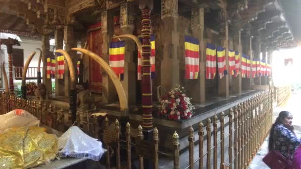 Kandy, Sri Lanka, November 20, 2019, Sri Dalada Maligawa tourists wait for the start of the ceremony part 4 — Stock Video