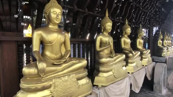 Colombo, sri lanka, 22. November 2019, 61 sri jinarathana rd, gangaramaya tempel mehrere goldene buddhas — Stockvideo