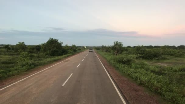 Yala, Sri Lanka, carros a recuperar por trás — Vídeo de Stock