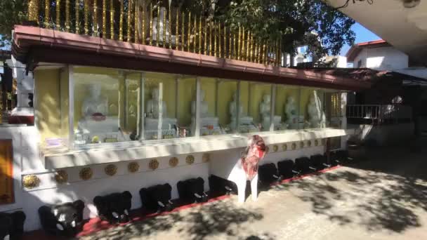 スリランカ, 2019年11月20日, Bairavokanda Vihara仏像ガラスの後ろの小さな像 — ストック動画