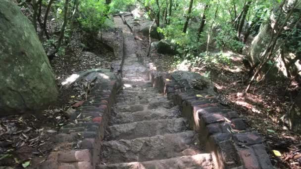 Sigiriya, Sri Lanka, an ancient staircase in the rainforest — Stok video