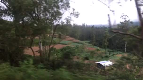 Ella, Sri Lanka, estradas ao longo de colinas com arbustos de chá — Vídeo de Stock