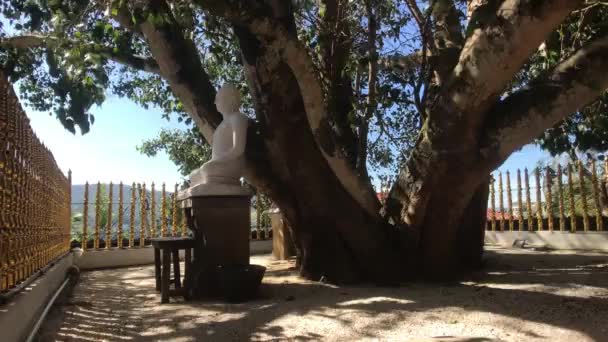 Kandy, Sri Lanka, 2019. november 25., Bahiravokanda Vihara Buddha Buddha Buddha szobra a fa alatt a kerítésen keresztül — Stock videók