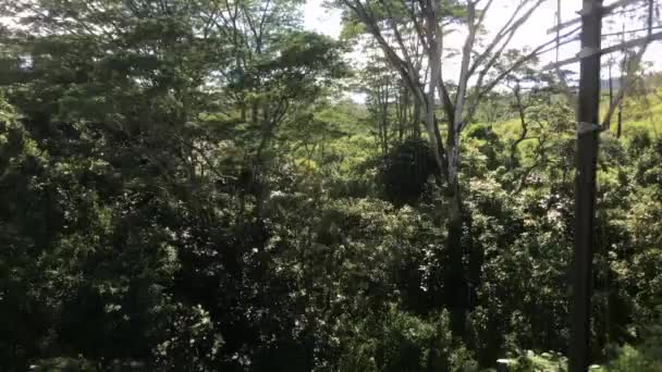Ella, Sri Lanka, op weg door het bos — Stockvideo