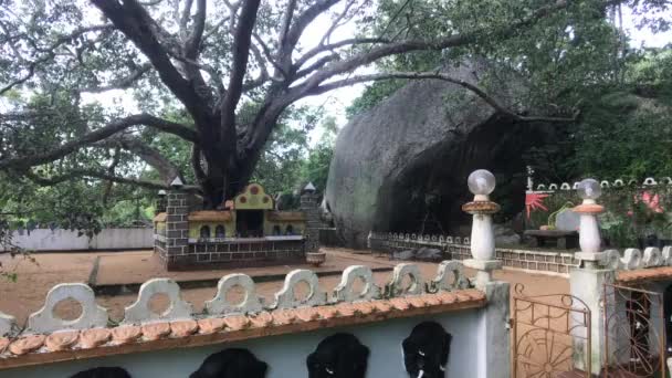 Sigiriya, Sri Lanka, hekken en gebouwen in het park — Stockvideo