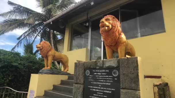 Matara, Sri Lanka, November 25, 2019, sculptures of tigers at the temple — Stok video