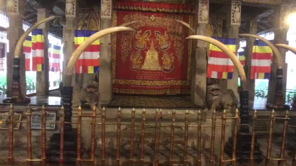 Kandy, Sri Lanka, November 25, 2019, Sri Dalada Maligawa the main room with the tooth of the Buddha in the temple — Stok video