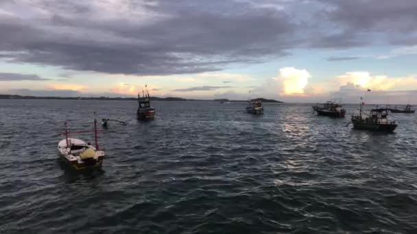 Weligama, Sri Lanka, navios de pesca no porto — Vídeo de Stock