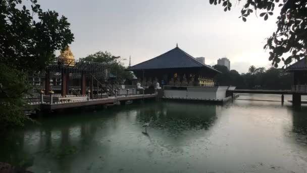 Коломбо, Шрі-Ланка, 22 листопада 2019, 61 Sri Jinarathana Rd, Gangaramaya Temple Lake view — стокове відео