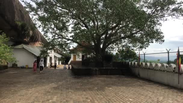 Dambulla, Σρι Λάνκα, σπηλιά ναός με θέα ιερό δέντρο — Αρχείο Βίντεο
