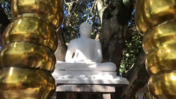 Kandy, Sri Lanka, 25 de noviembre de 2019, Bahiravokanda Vista de la estatua del Buda de Vihara a través de la valla — Vídeo de stock