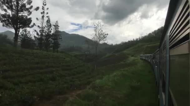 Ella, Sri Lanka, end of train view — Stok video