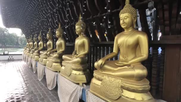 Colombo, Sri Lanka, 22 de novembro de 2019, 61 Sri Jinarathana Rd, Templo de Gangaramaya Budas dourados em uma fileira — Vídeo de Stock