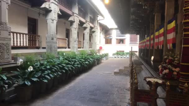 Kandy, Sri Lanka, la habitación con el diente de Buda en el templo — Vídeo de stock