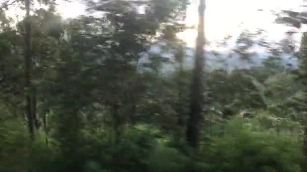 Ella, Srí Lanka, vesnice v údolí — Stock video