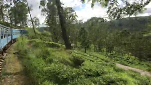 Ella, Sri Lanka, train traffic through beautiful forests — Stok video