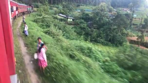 Ella, Sri Lanka, 23 de novembro de 2019, trem vermelho no pano de fundo das plantações de chá com turista — Vídeo de Stock