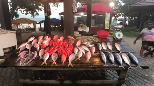 Weligama, Sri Lanka, mercado de pescado fresco por la noche — Vídeo de stock