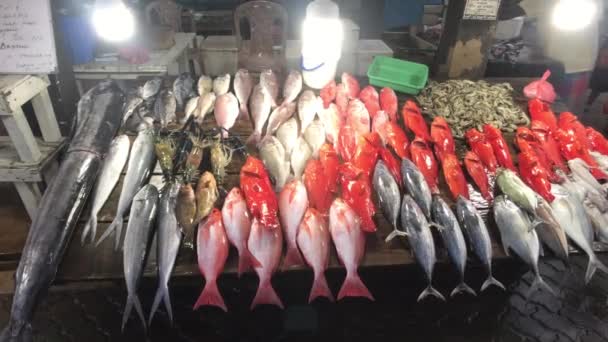 Weligama, Sri Lanka, mercado de pescado por la noche — Vídeo de stock