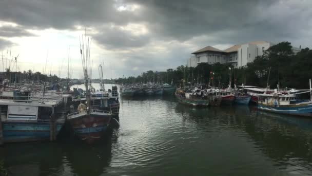 Negombo, Sri Lanka, 23 november 2019, nieuwe lokale vissershaven — Stockvideo